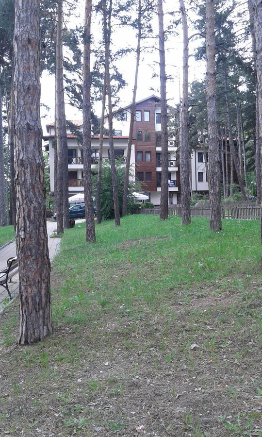 Appartement Borov Park 1 à Velingrad Extérieur photo